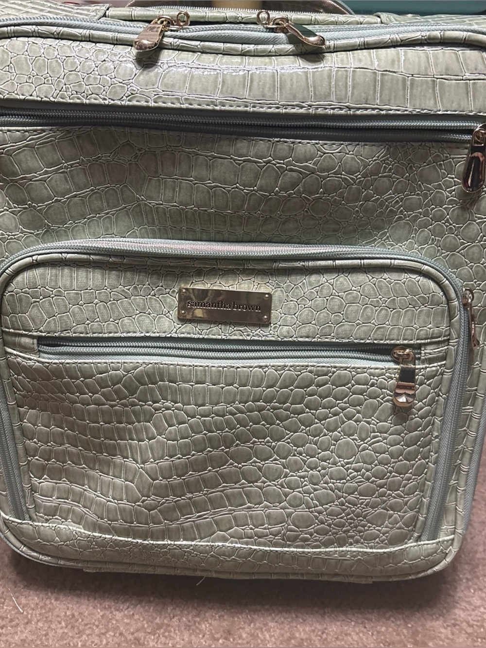 Croc-Embossed Rolling Carry-On in Sage Green